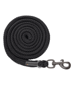 Uwiąz Waldhausen Modern Rose