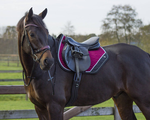 Czaprak wszechstronny QHP Shiva