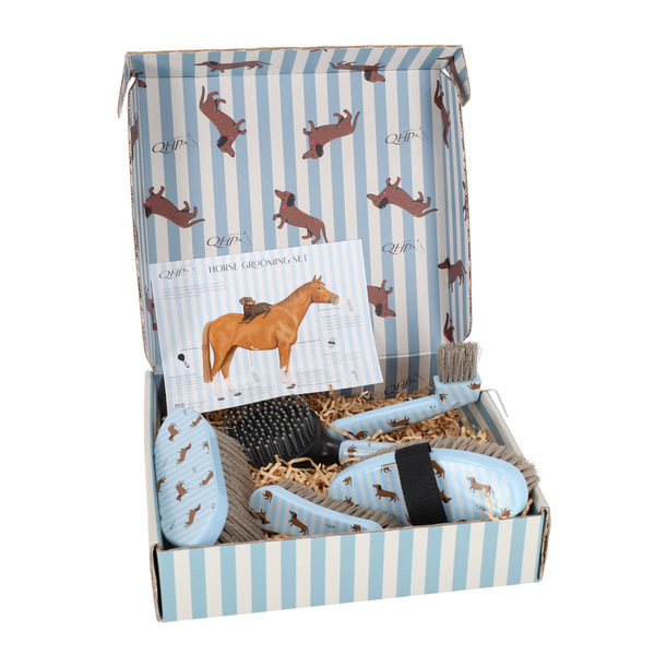 Zestaw do czyszczenia konia QHP Stable buddy