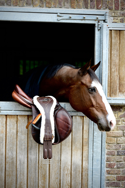 Popręg anatomiczny z futrem Kentucky Horsewear Sheepskin Anatomic Girth
