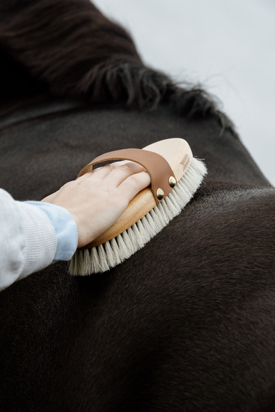 Szczotka do nabłyszczania sierści konia z naturalnego włosia końskiego Kentucky Horsewear Overall Brush Body Shine