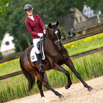 Frak damski QHP Novèn