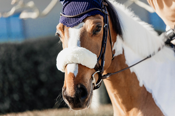 Futerko na nachrapnik lub potylicę Kentucky Horsewear