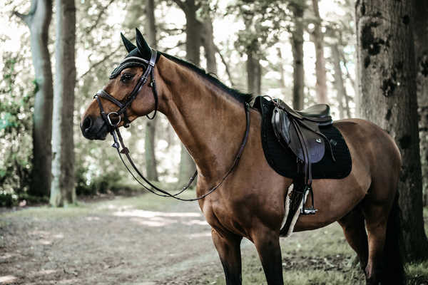 Czaprak wszechstronny Kentucky Horsewear Pearls