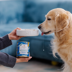 Karma mokra dla dorosłych psów Perro -  Sardynka z cukinią  