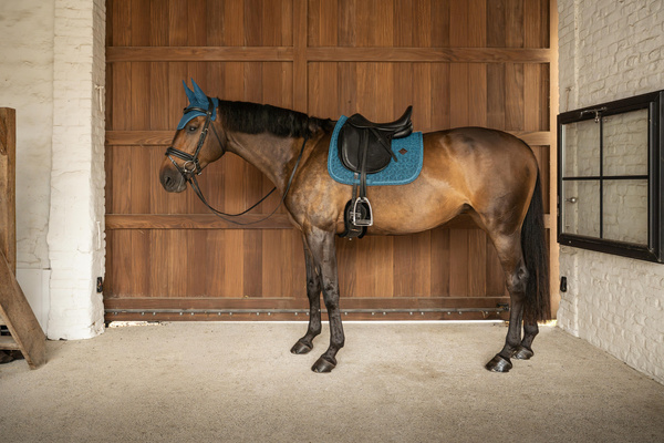 Nauszniki klasyczne Kentucky Horsewear Wellington Full Sparkling