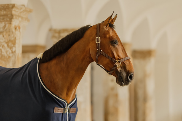 Derka osuszająca Kentucky Horsewear Show Vegan Wool