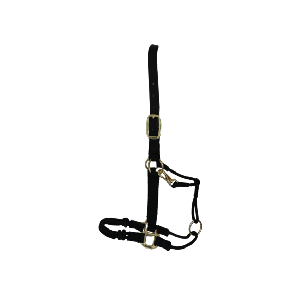 Kantar Kentucky Horsewear Control