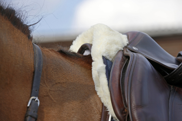 Podkładka pod siodło z futrem syntetycznym Kentucky Horsewear Sheepskin Half Pad Absorb
