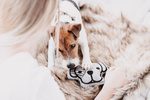Zabawka dla psa Kentucky Dogwear Dog Head