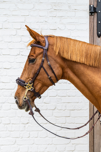 Hackamore Dy'on D Collection DY-14003