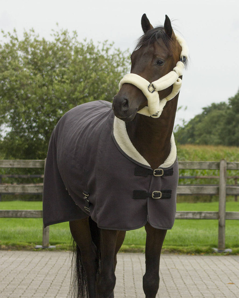 Kantar z futrem QHP Alaska