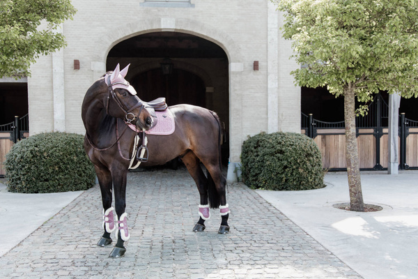 Ochraniacze tylne z futrem Kentucky Horsewear Young Horse TPU - RÓŻOWE