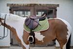 Czaprak  wszechstronny Kentucky Horsewear Softshell Onion Quilt