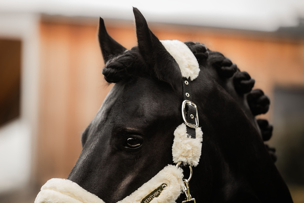 Kantar obszyty w całości syntetycznym futrem Kentucky Horsewear Sheepskin Shipping