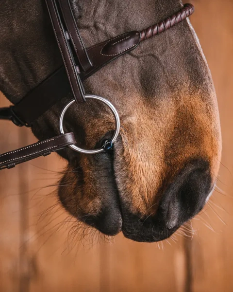 Wędzidło zwykłe FAGER BiancaTitanium - podwójnie łamane
