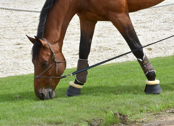 Ochraniacze treningowe z futrem na przednie nogi Kentucky Horsewear Turnout Boots Solimbra