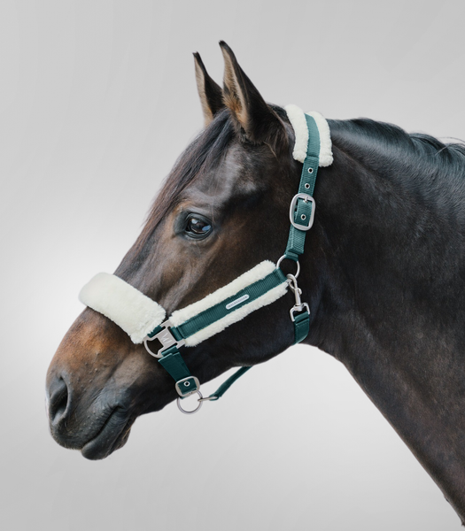 Kantar Waldhausen Soft