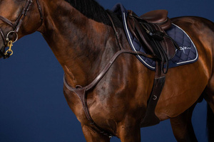 Napierśnik z mostkiem Dy'on US Collection US06C