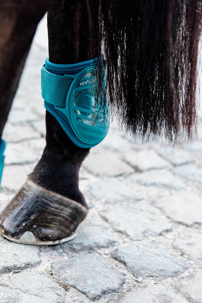 Ochraniacze tylne Kentucky Horsewear Young Horse TPU - SZMARAGDOWE