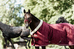 Derka stajenna Kentucky Horsewear Show Rug Velvet 160g