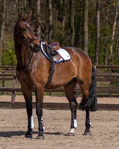 Czaprak wszechstronny QHP Eldorado