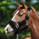 Kantar z futrem Kavalkade Traveling 