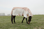 Derka siatkowa przeciw owadom z wodoodpornym grzbietem Kentucky Horsewear Waterproof Combo Fly Rug Comfort