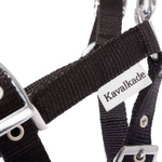 Kantar dla źrebaka Kavalkade