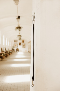 Uwiąz stajenny Kentucky Horsewear Box Lead & Cross Ties