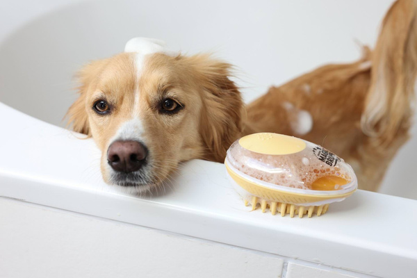 Szczotka do kąpieli dla psa Magic Brush