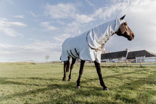 Derka siatkowa przeciw owadom z kapturem dla koni z egzemą Kentucky Horsewear Eczema Rug
