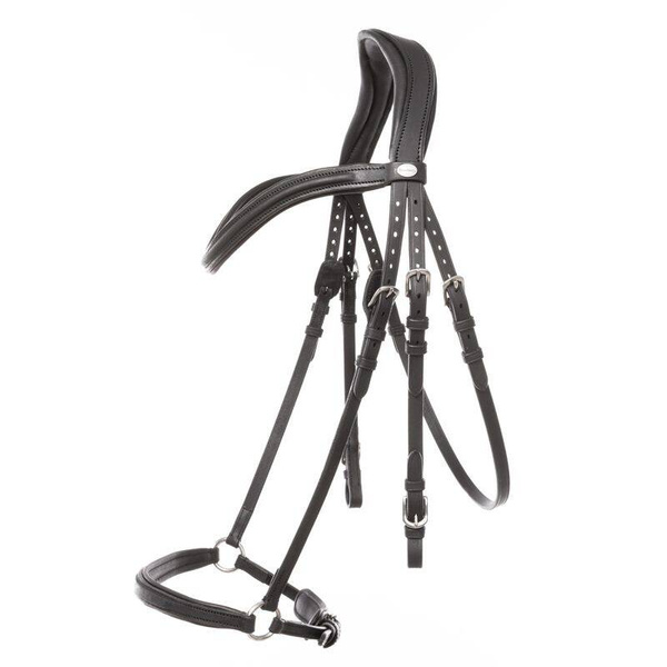 Ogłowie z nachrapnikiem hanowerskim Kavalkade Everana