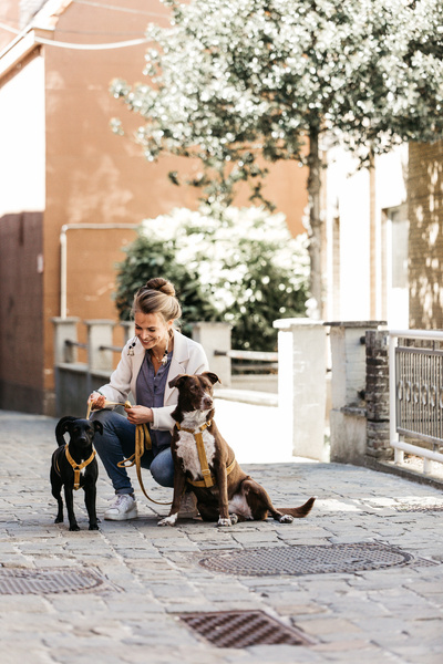 Szelki dla psa Kentucky Dogwear Loop Velvet