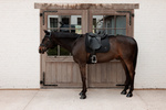 Czaprak  ujeżdżeniowy Kentucky Horsewear Sparkling 