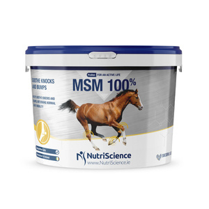 Naturalny suplement wspomagający pracę stawów NutriScience MSM 100% 1,5 kg