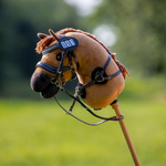Koń Hobby Horse QHP