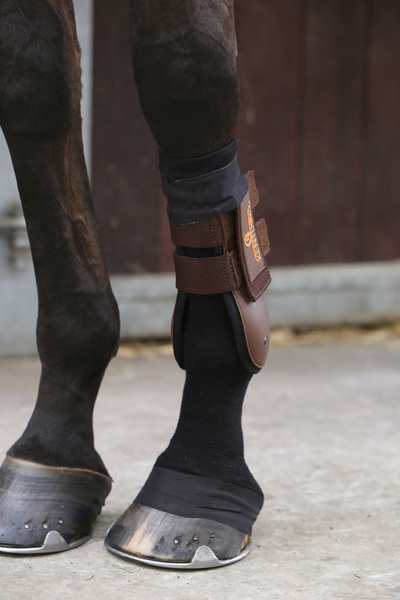 Skarpeta chroniąca przed obtarciami, zabrudzeniami i infekcjami Kentucky Horsewear Tendon Grip Sock
