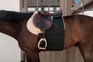 Pas ochronny na brzuch Kentucky Horsewear Belly Band