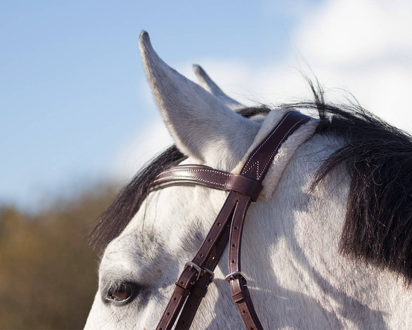 Ogłowie anatomiczne z futrem QHP Ontario