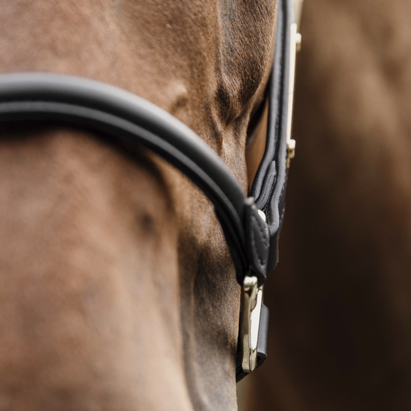 Kantar anatomiczny Kentucky Horsewear Anatomic Leather Halter