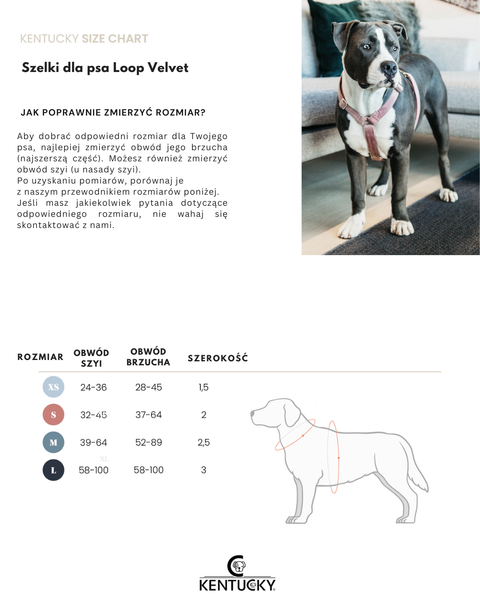 Szelki dla psa Kentucky Dogwear Loop Velvet