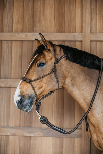 Kantar sznurkowy Dy'on Working Collection WO09C