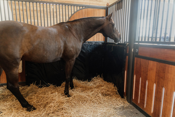 Mata amortyzująca uderzenia do boksu i przyczepy Kentucky Horsewear Kick Pad