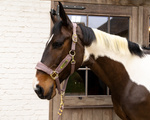 Kantar dla konia Kentucky Horsewear Velvet