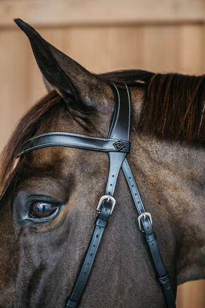 Ogłowie bezwędzidłowe Dy'on Working Collection WOCCXV