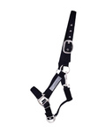 Kantar QHP Safety
