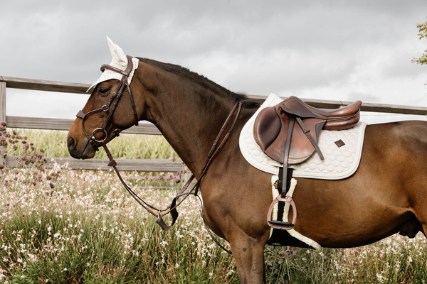 Ogłowie z nachrapnikiem przelotowym Dy'on New Collection NEABA7