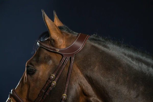 Ogłowie z cofniętą potylicą Dy'on D Collection Difference DYGXAU