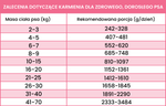Karma mokra dla dorosłych psów Perro -  Struś z cukinią